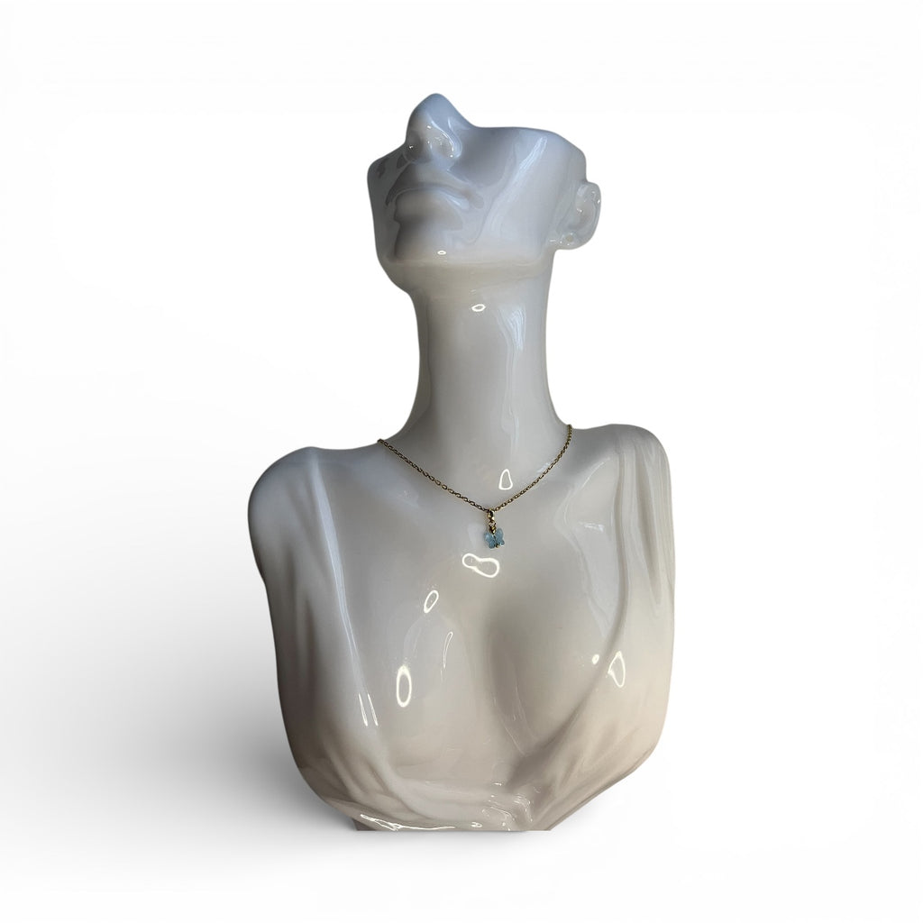 Bona farfalla azzurra