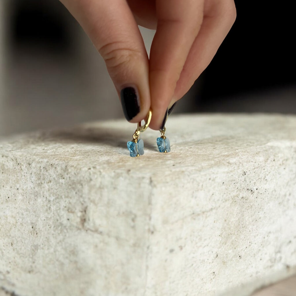 Bona farfallina azzurra