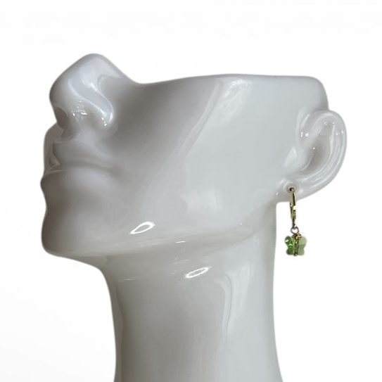 Bona farfallina verde